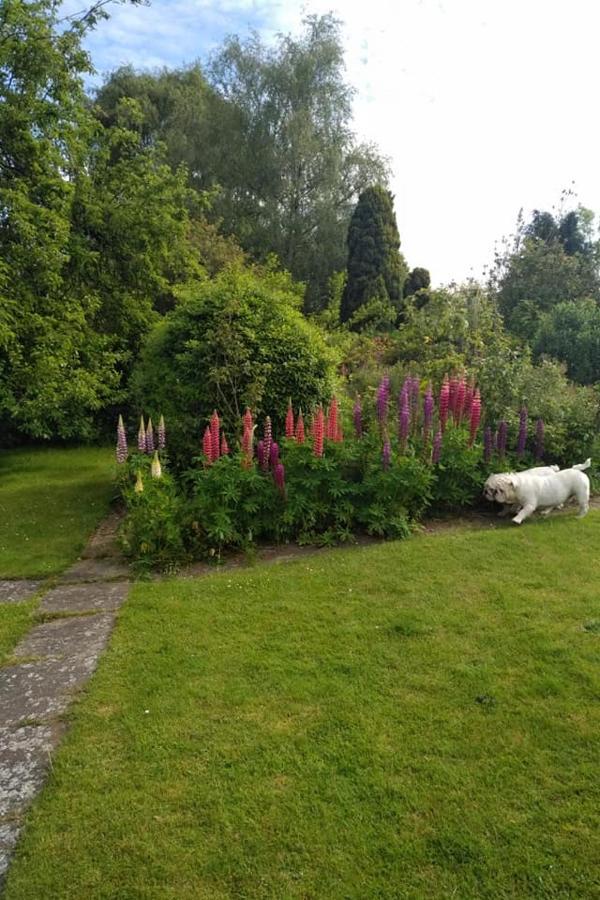 Twenty Bed and Breakfast Skellingthorpe Exteriör bild