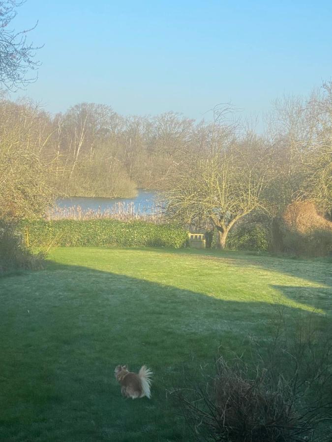 Twenty Bed and Breakfast Skellingthorpe Exteriör bild